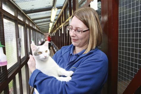 From Humble Beginnings In 1927 Cats Protection Has Grown To Become The Uk S Leading Feline