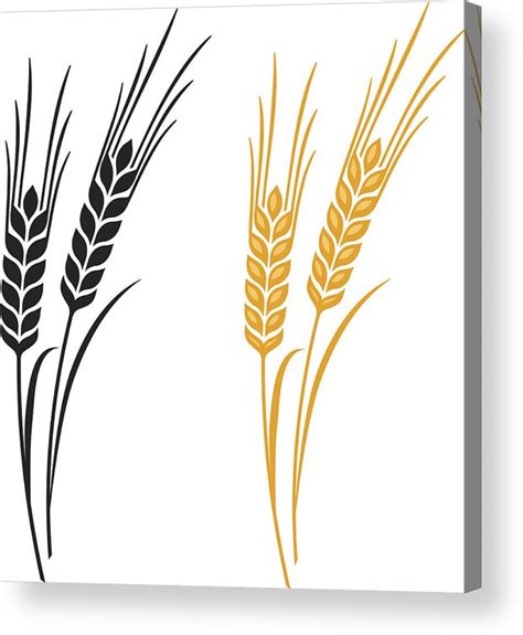 Wheat Drawing Free Download On Clipartmag