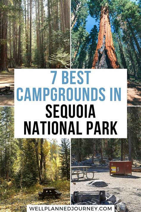 the ultimate guide to the best camping in sequoia national park