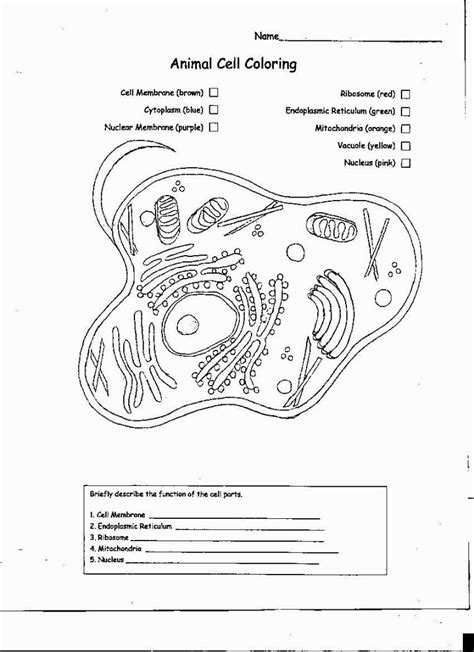 That is what the subsequent paragraphs will tell you. Animal Cell Coloring Sheet | Animal cell, Plant and animal ...