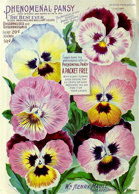 Phenomenal Pansies Garden Catalog Blank Note Card Handmade Etsy In