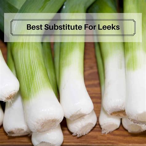 7 Best Substitute For Leeks How And When To Use Fit Meal Ideas In