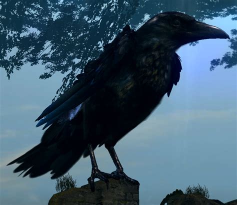 Image Giant Crow02 Dark Souls Wiki Fandom Powered By Wikia