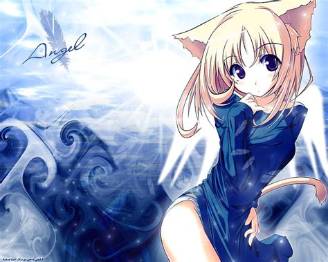 1920x1080px 1080p free download cute catgirl catgirl pretty blonde hair adorable trible