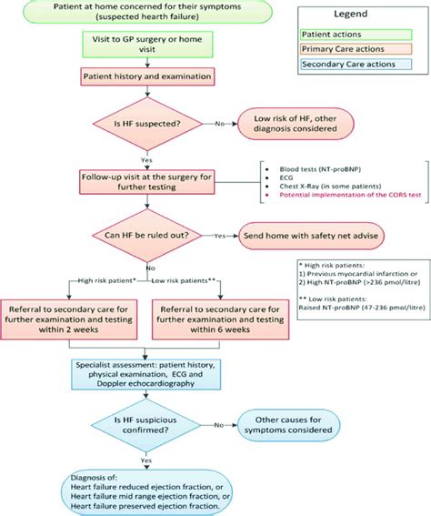 Current Clinical Pathway For Suspected Heart Failure Hf Diagnosis