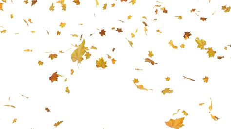 Download Falling Autumn Leaves Png Free Download Falling Leaves Png