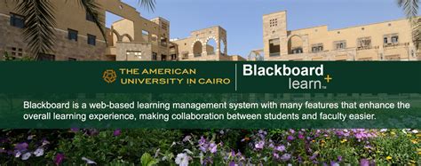 Blackboard For Students Auc Learning Management Systems