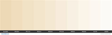 Tints Of Champagne Color Eed9b6 Hex Colorswall