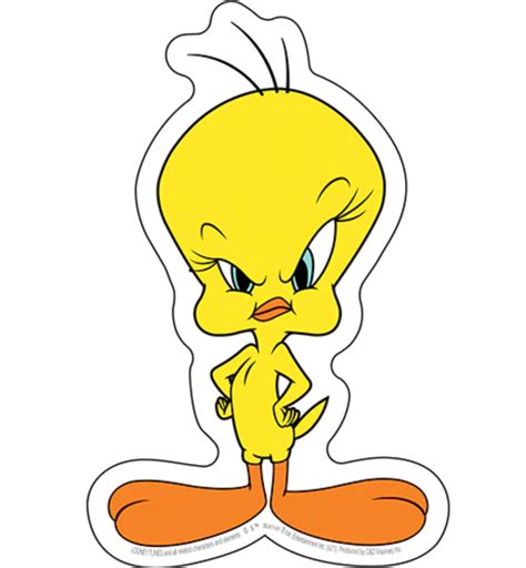 Warner Brothers Looney Tunes Tweety Bird Bumper Sticker Decaln N N