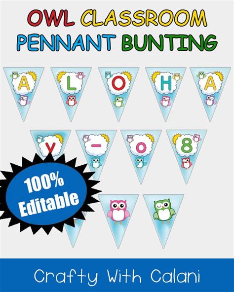 An Owl Classroom Pennant Bunting Banner With Owls And Letters