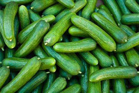 Pickle is a cold spicy sauce with pieces of vegetables and fruit in it. How Are Pickles Made? | Wonderopolis