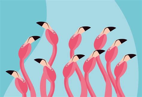 Flamingo Flock Clipart 10 Free Cliparts Download Images On Clipground
