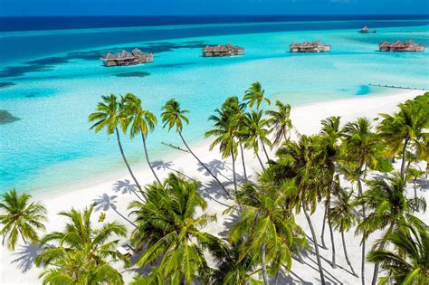 Gili Lankanfushi Maldives Desde S 5648 Maldivas Opiniones Y