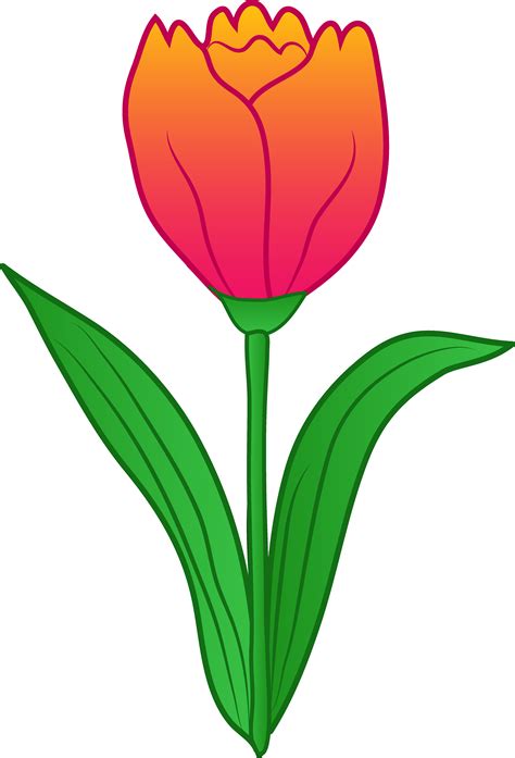Gambar Kartun Bunga Tulip Vektor Misterdudu