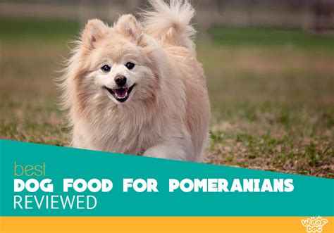 10 Best Dog Food For Pomeranians 2020 Reviews And Ratings