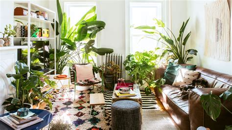 Plant Decor Ideas For The Living Room Bedroom And More