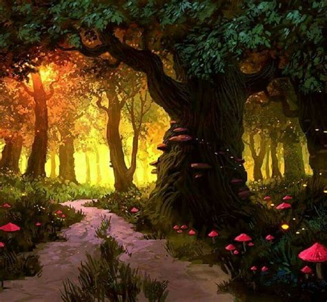 Fairy Woods Fantasy Magic Fantasy Forest Magic Forest Fantasy World