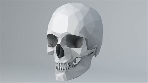 3d Model Lowpoly Human Skull Vr Ar Low Poly Cgtrader