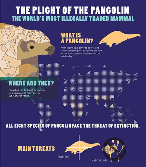 The act tightens regulations on activities involving. Listing pangolins under US Endangered Species Act | IFAW ...