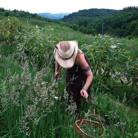 Wildcrafting The Weedy And Abundant Plants That Surround Us Is One Of Our Prime Joys During This
