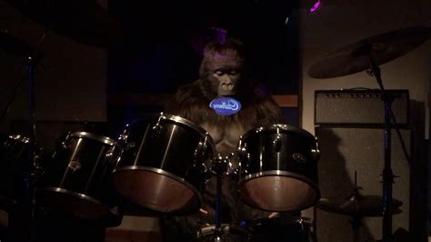 Drumming Gorilla Cadbury World Youtube