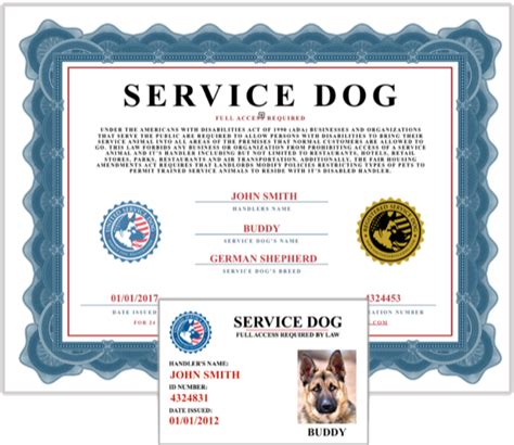You'll find jetblue's pet policy for travel in the cabin and baggage area here. United Service Dog | Emotional Support Animal Registration ...