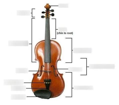 Violin Parts Diagram