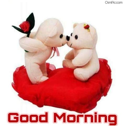 Good Morning Images For Love Teddy Bear Pictures Teddy Bear Images