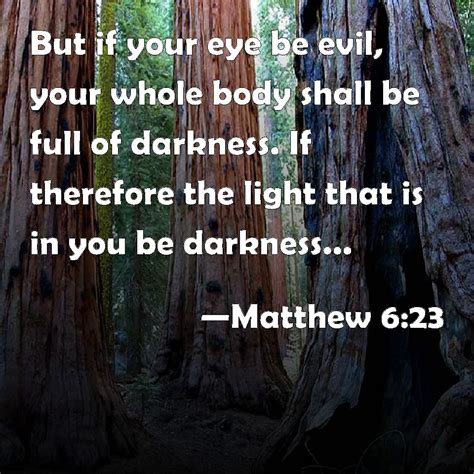 Matthew 623 But If Your Eye Be Evil Your Whole Body Shall Be Full Of