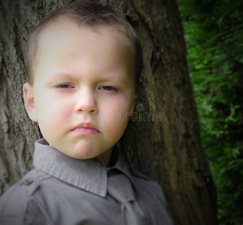 Young Boy Portrait Stock Photo Image Of Model Pure 71498932