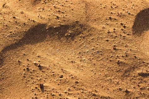 Desert Sand Texture Stock Photo Image Of Sands Fine 58138374