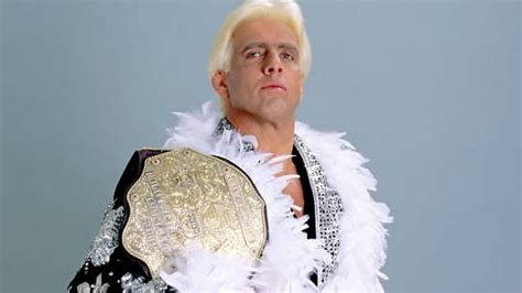 Ric Flair Celebrity HQ Ric Flair 2019 HD Wallpaper Pxfuel