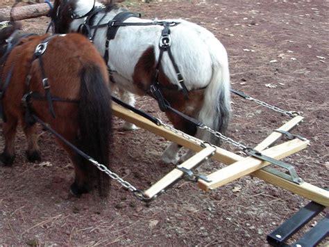 Northwest Mini Tack Miniature Horse Carts And Harnesses Mini Horse