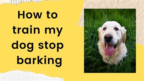 How To Train My Dog Stop Barking Youtube