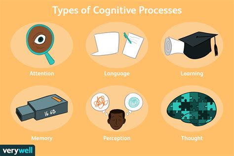 What Is Cognition