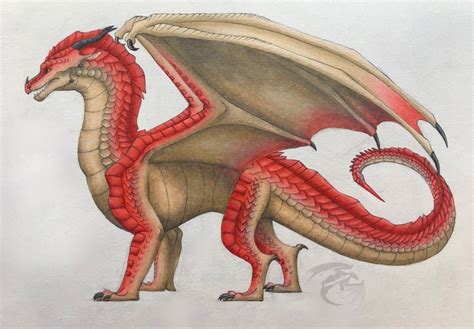 SandWing SkyWing Hybrid By ImaginationDraws On DeviantArt Wings Of Fire Dragons Got Dragons