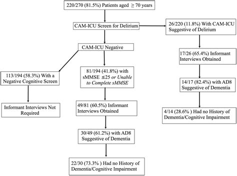 Cognitive Assessment Of Older Adults At The Acute Care Interface The