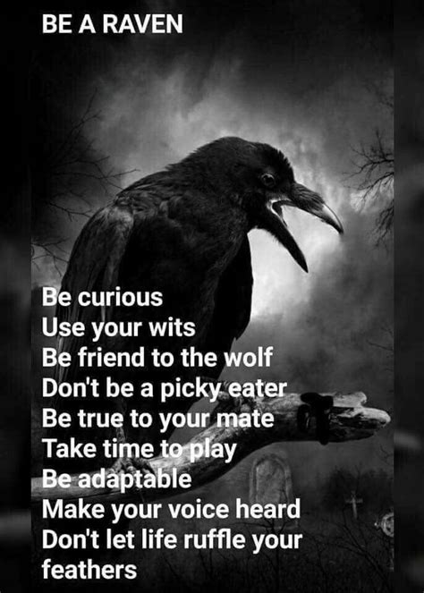 These raven quotes are the best examples of famous raven quotes on poetrysoup. Pin by linda shanes on RAVENS | Raven quotes, Raven, Crow