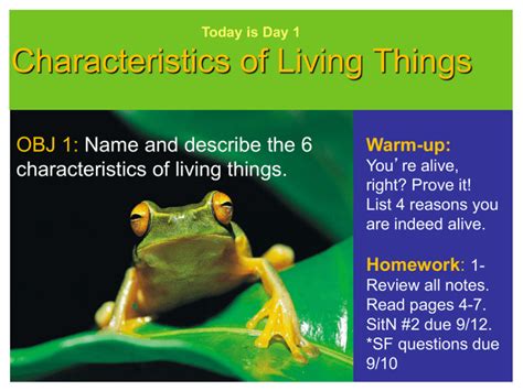 91510 Characteristics Of Living Things
