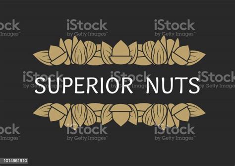 Vector Abstract Illustration On The Theme Of The Logo For Nuts