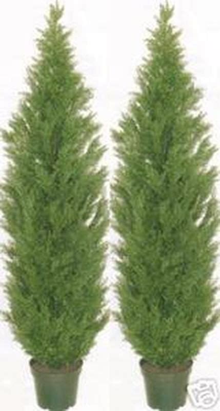 Two 5 Foot Outdoor Artificial Cedar Topiary Trees Potted Uv Rated Bush