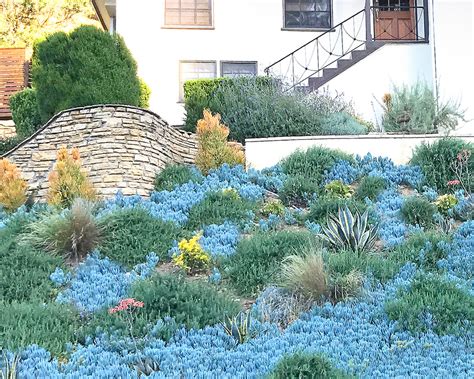 Posted on february 22 2019. Hillside Landscaping Ideas-Ground Cover - Transitional ...