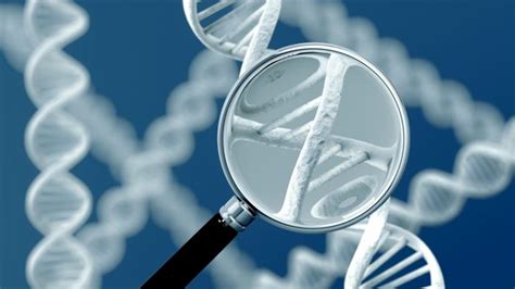 Genetic Testing In Ivf Cyprus American Ivf Center
