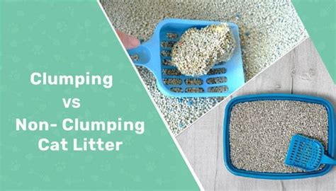 Clumping Vs Non Clumping Cat Litter Vet Reviewed Pros Cons And Which