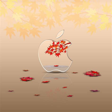 Ipad Wallpaper Autumn Foliage By Laggydogg On Deviantart