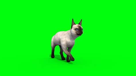 All fbx animations are separated and will import perfectly into any video game engine or 3d modeling software. White Cat Feline - 3D Model Animated - PixelBoom