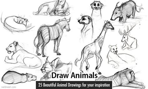 25 Beautiful Animal Drawings For Your Inspiration How To Draw Animals