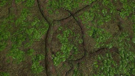 Texture Pbr Tileable Detailed Forest Ground Textures Vr Ar Low Poly