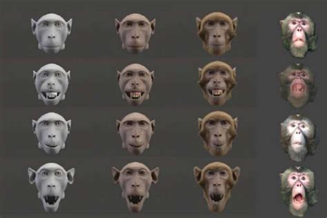 Monkeys Prefer To Interact With A More Realistic Avatar