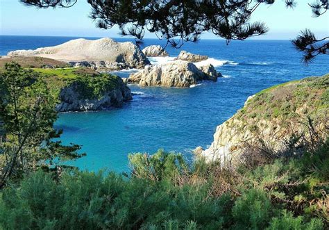 Point Lobos Carmel All You Need To Know Before You Go